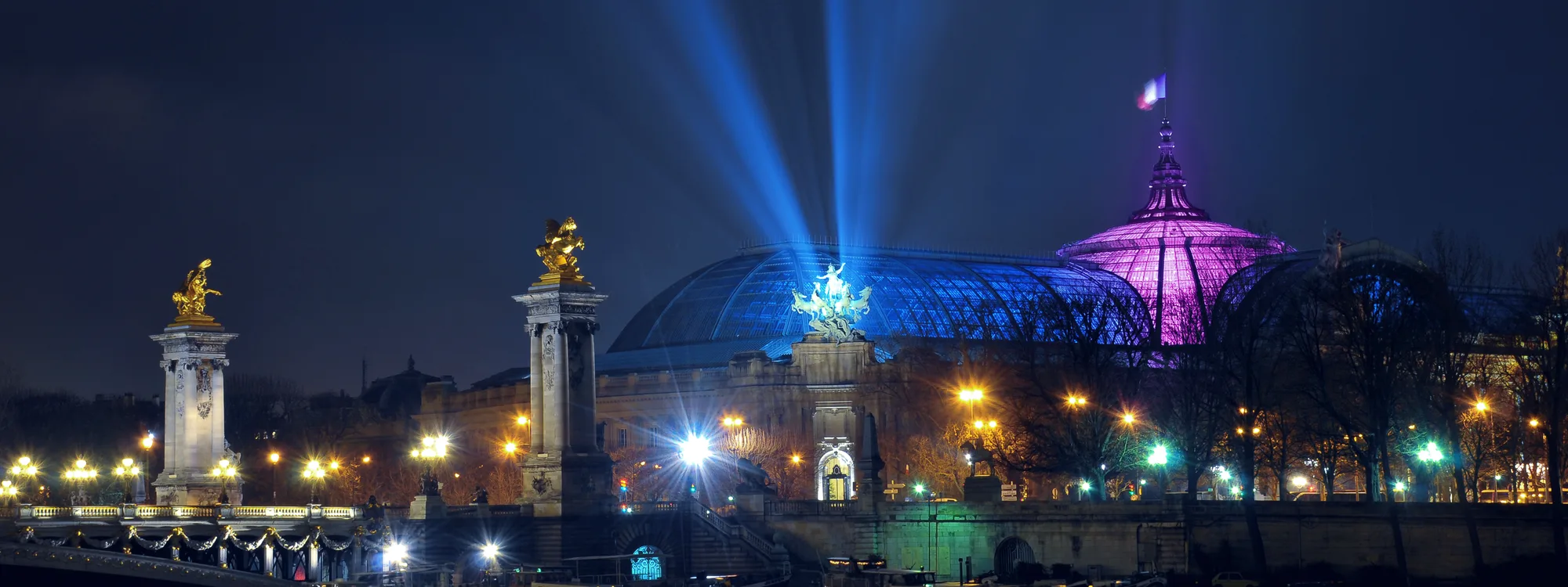 The Grand Palais and Pont Alexandre III illuminated at night